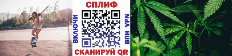 Где купить Серпухов Alpha PVP  Конопля  Меф мяу мяу  ГАШ 