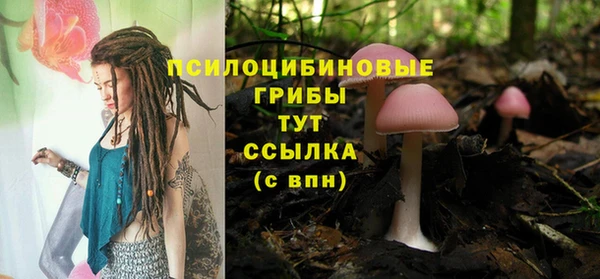 a pvp Верхний Тагил