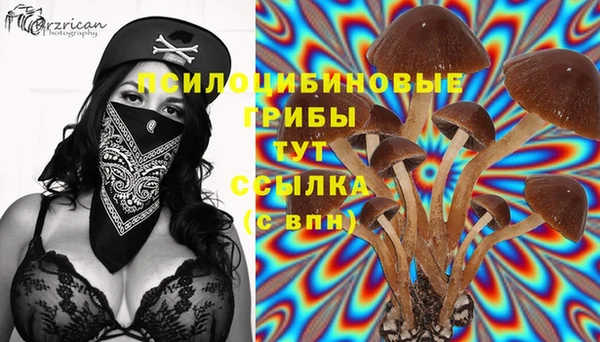 a pvp Верхний Тагил